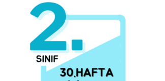 2. Sınıf 30. Hafta Çalışmaları