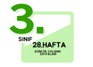 3. Sınıf 28. Hafta Çalışmaları
