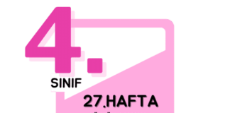 4. Sınıf 27. Hafta Çalışmaları