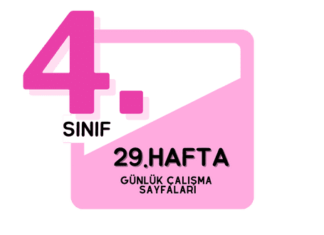 4. Sınıf 29. Hafta Çalışmaları