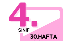 4. Sınıf 30. Hafta Çalışmaları