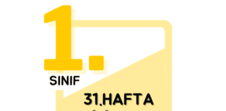 1. Sınıf 31. Hafta Çalışmaları