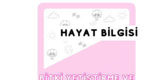 2. Sınıf Bitki Yetiştirme ve Hayvan Besleme