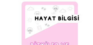 2. Sınıf Bitkiler ve Hayvanlar