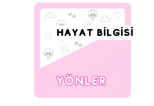 2. Sınıf Yönler