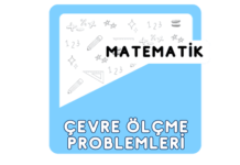 3. Sınıf Çevre Ölçme Problemleri