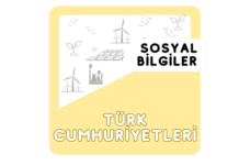 4. Sınıf Türk Cumhuriyetleri